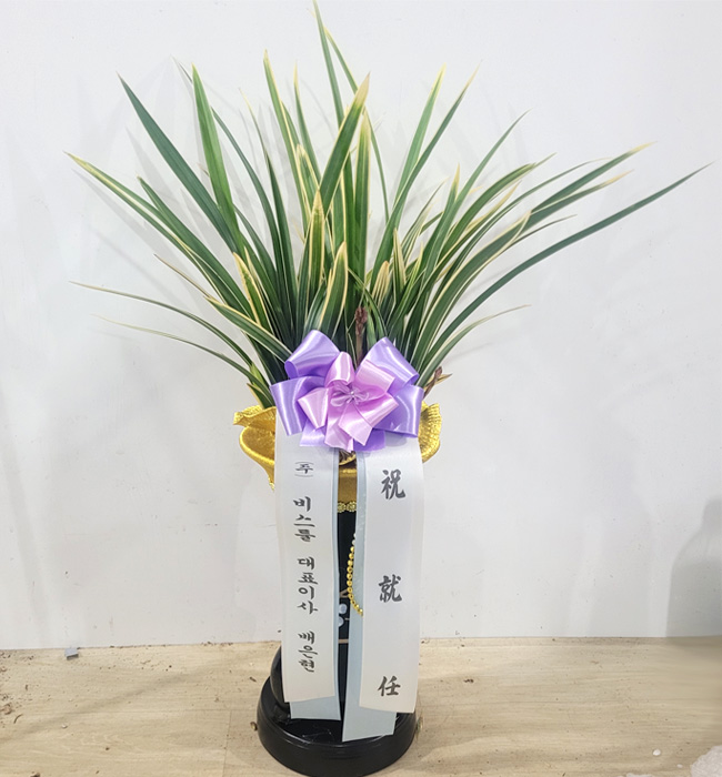 ST-E050