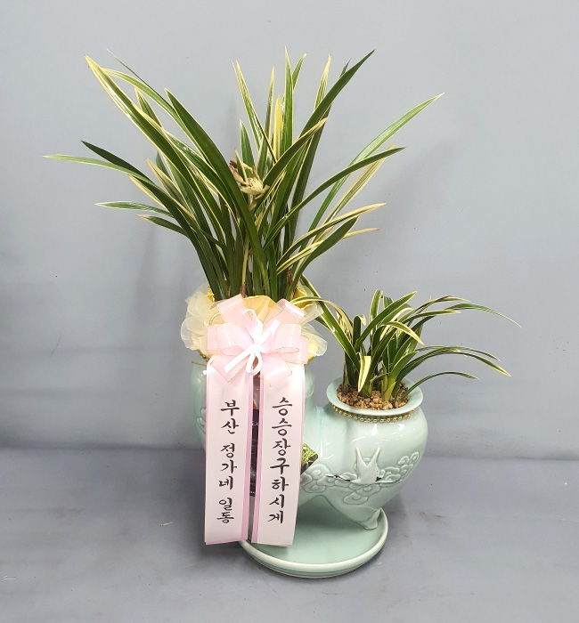 ST-E549