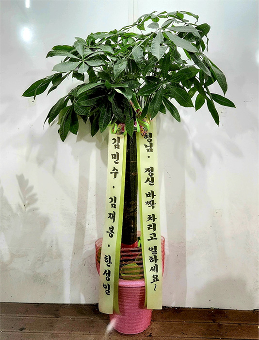 ST-D147