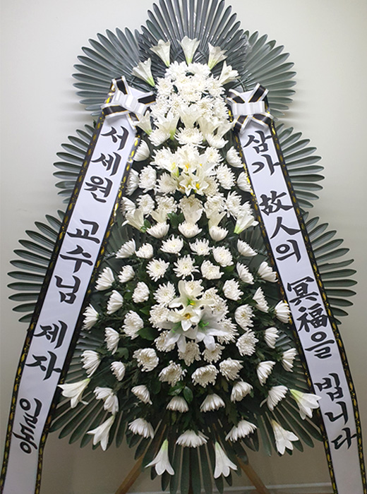 ST-FB233