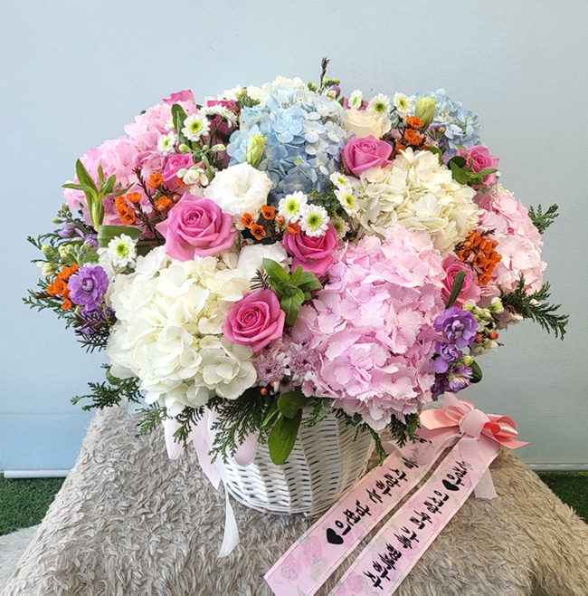 ST-A1808