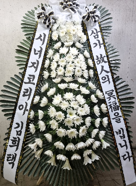 ST-FB233