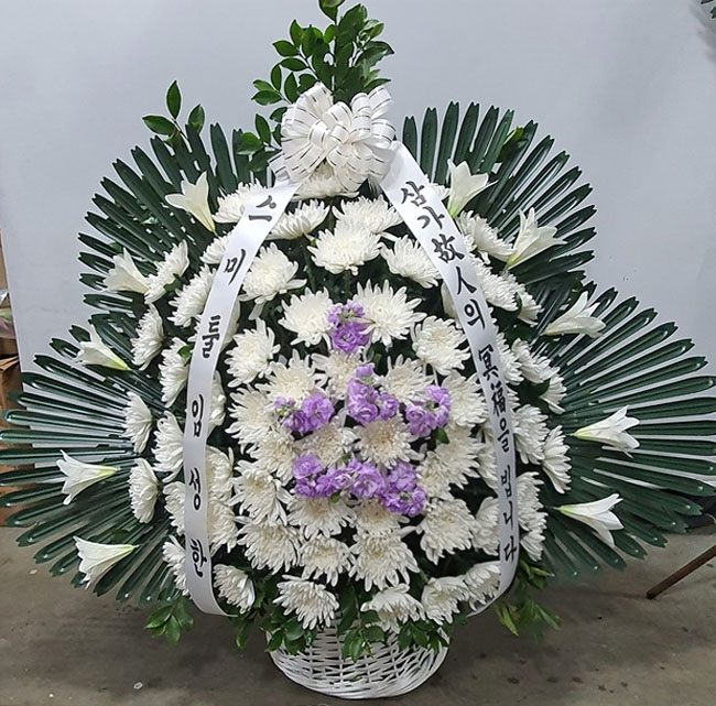 ST-FB255