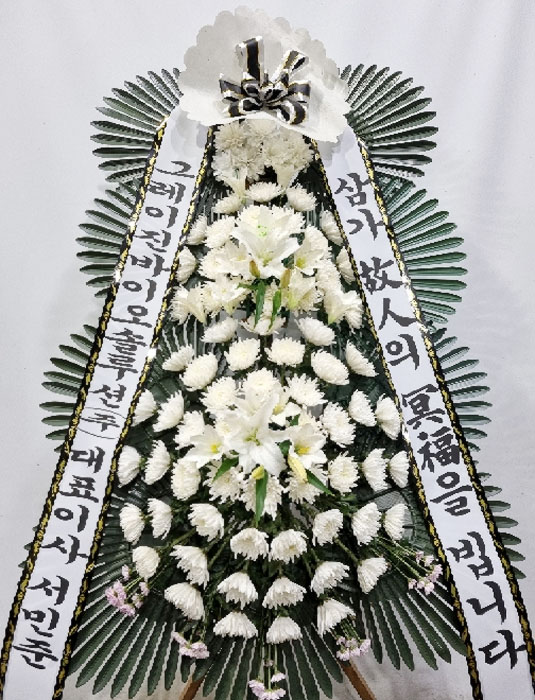 ST-FB226