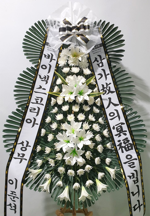 ST-FB226