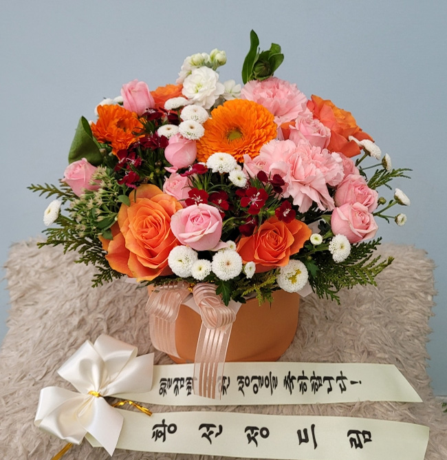 ST-B429