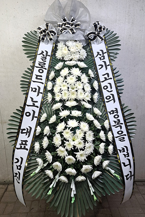 ST-FB233