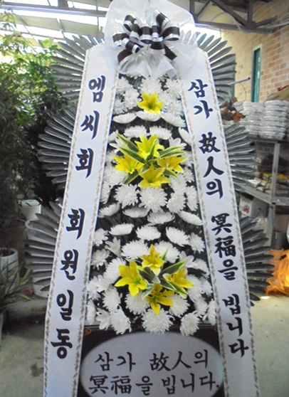 ST-FB226