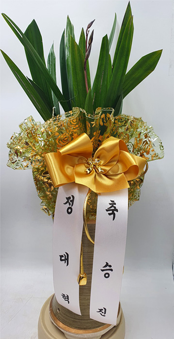 ST-E534