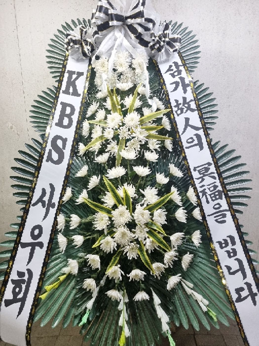 ST-FB226