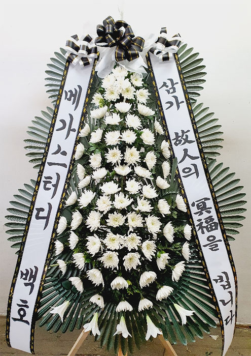 ST-FB233