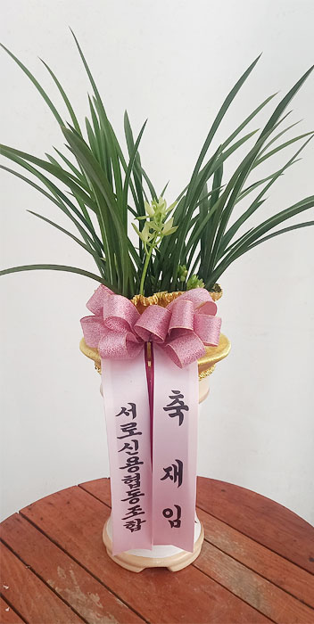 ST-E087
