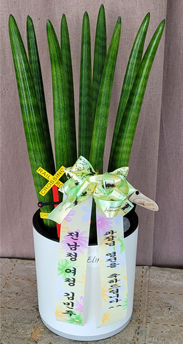 ST-D724