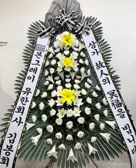 ST-FB154