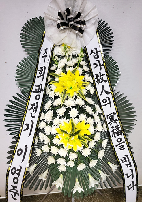 ST-FB233
