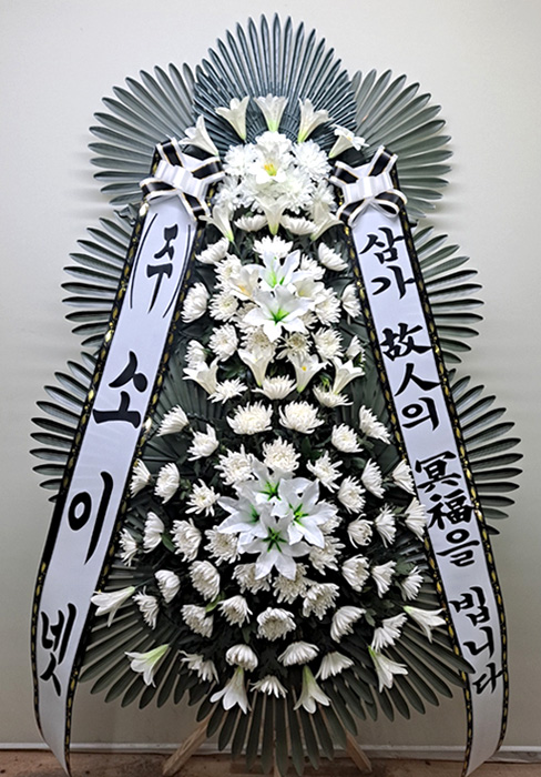 ST-FB233