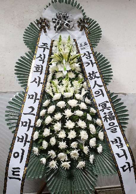 ST-FB226