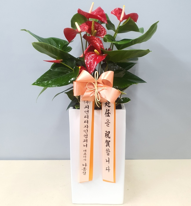 ST-D732
