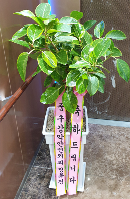 ST-D507