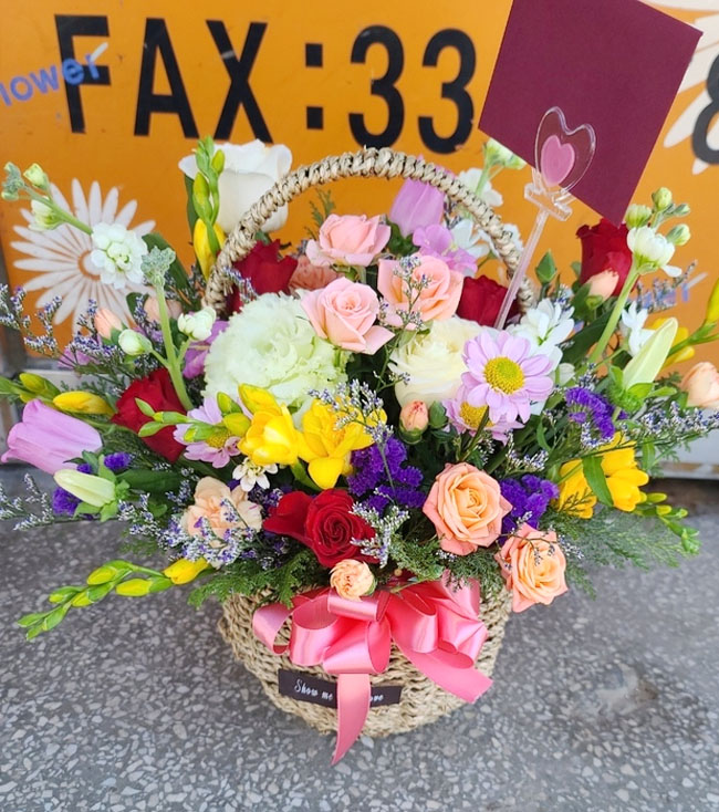 ST-A1661