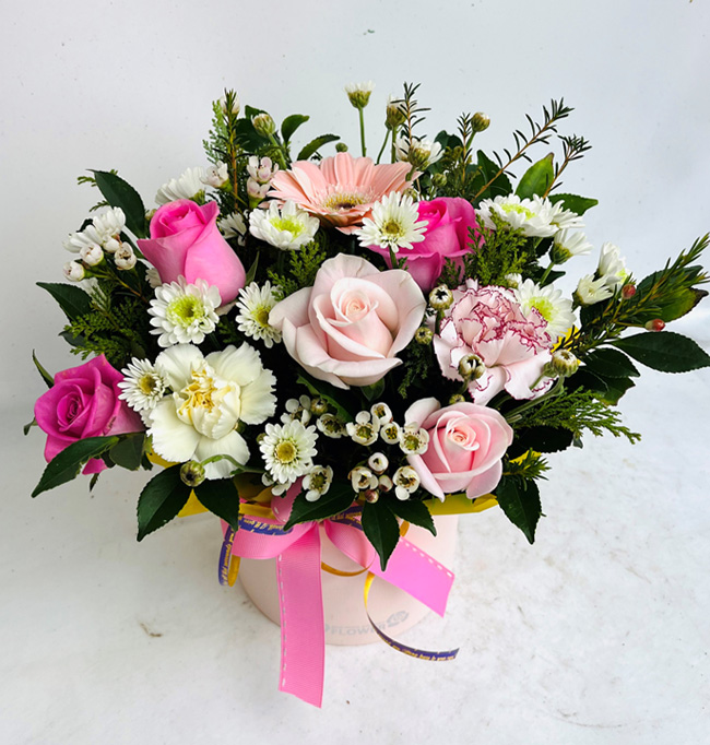 ST-B336