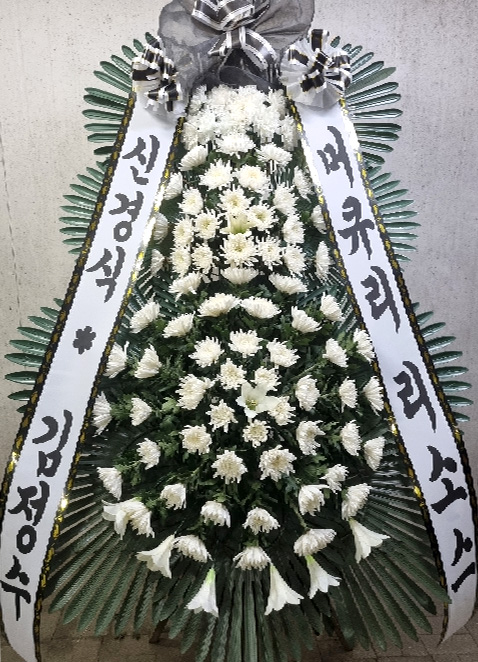 ST-FB233