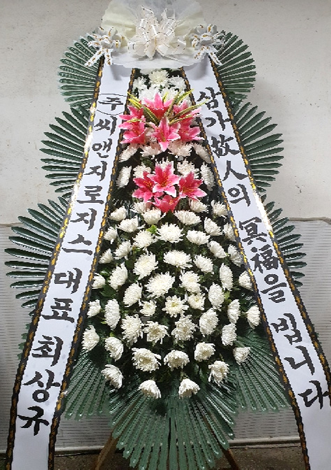 ST-FB141