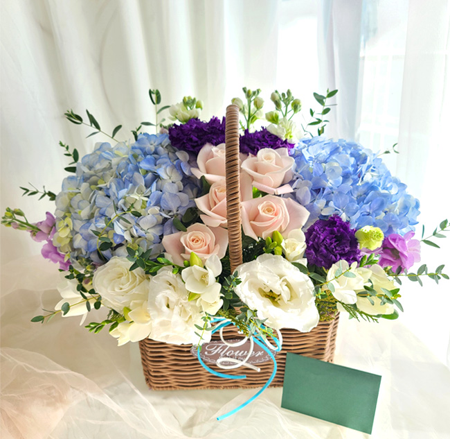 ST-A1661