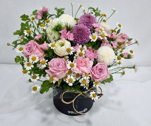 ST-B336