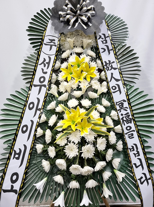 ST-FB154
