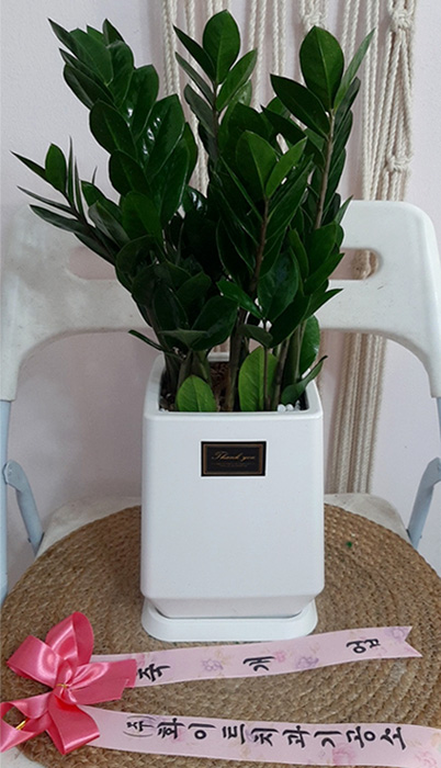 ST-D703