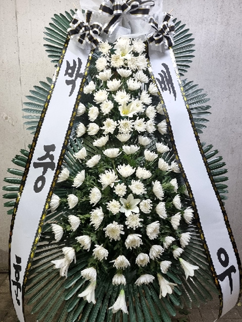 ST-FB233