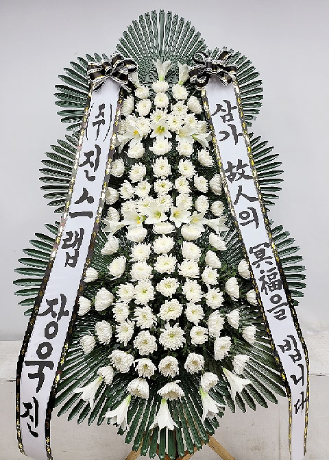 ST-FB226