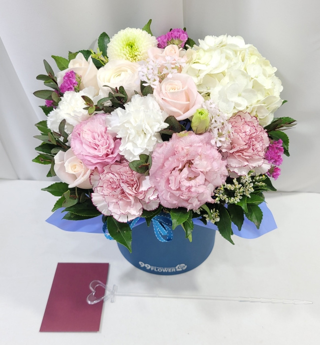 ST-B328