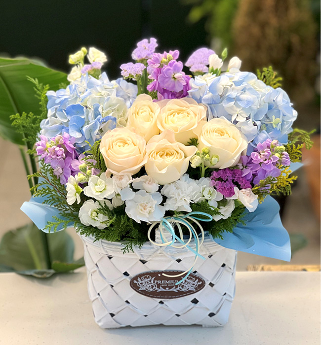ST-A1661