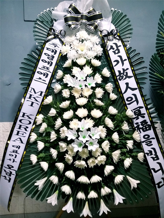 ST-FB226