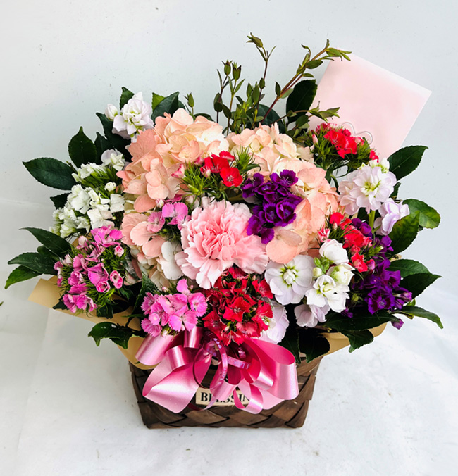 ST-C403