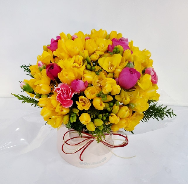 ST-B417