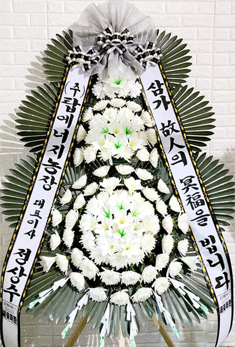ST-FB226