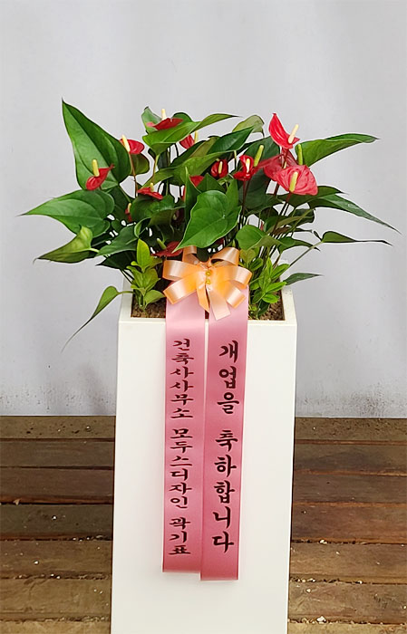 ST-D732