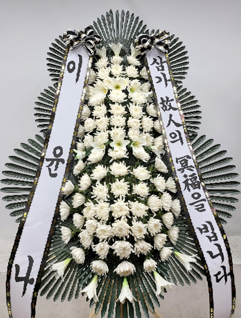 ST-FB233