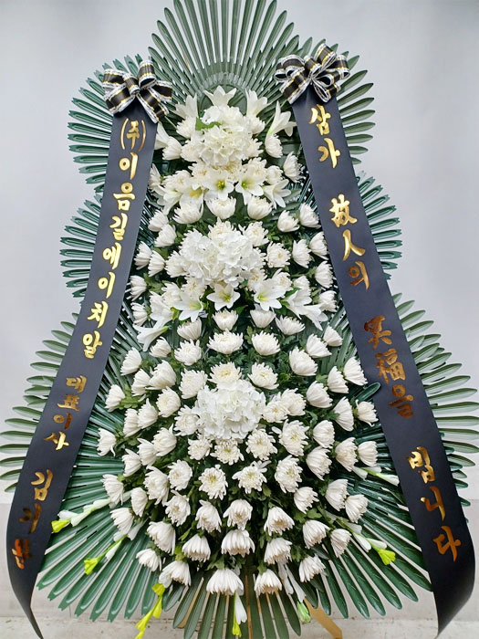 ST-FB259