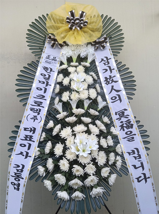 ST-FB226