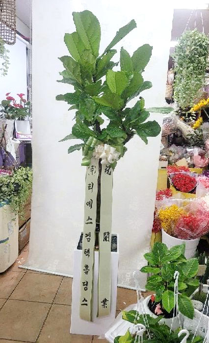 ST-D710