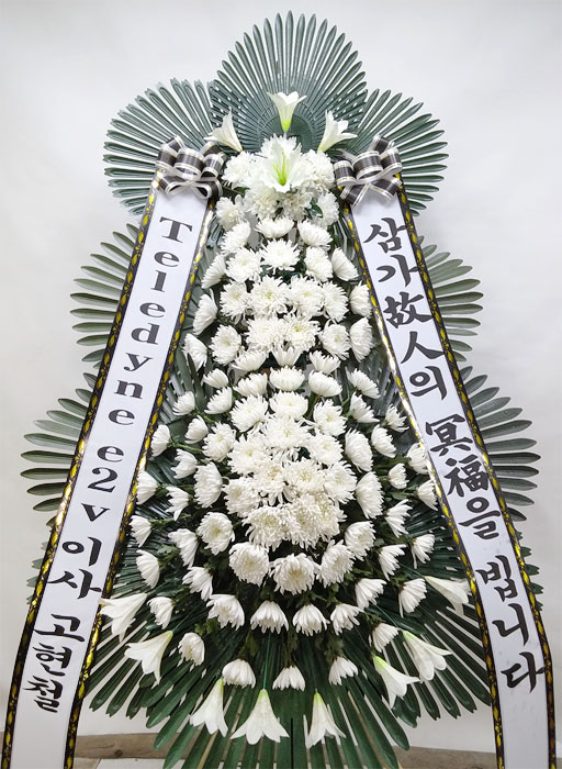 ST-FB233