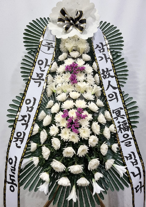 ST-FB142