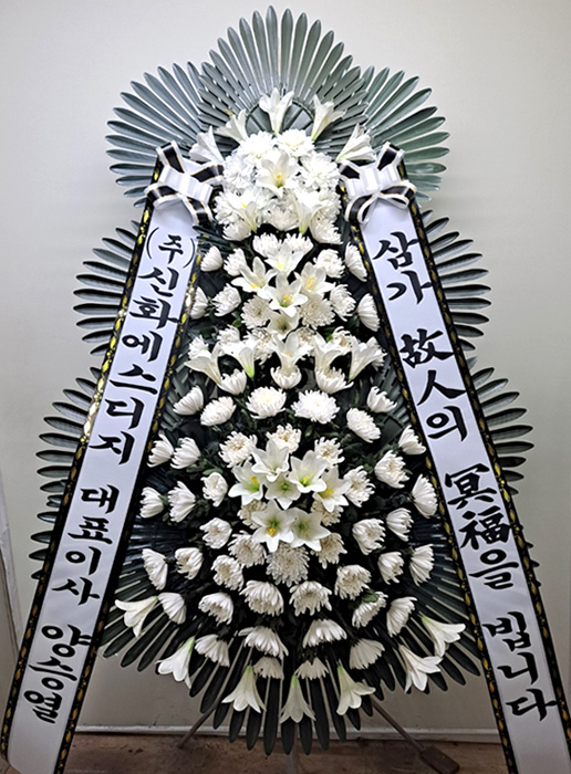 ST-FB233