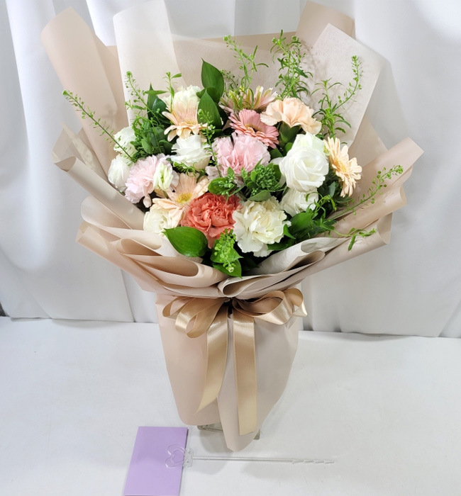 ST-C519