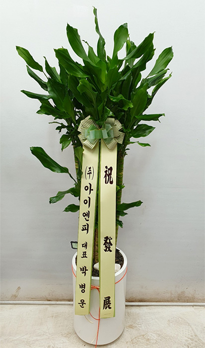 ST-D706