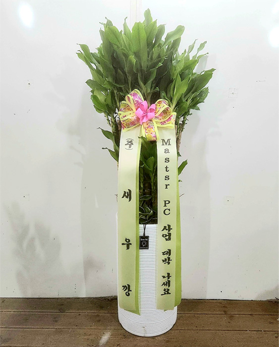 ST-D684